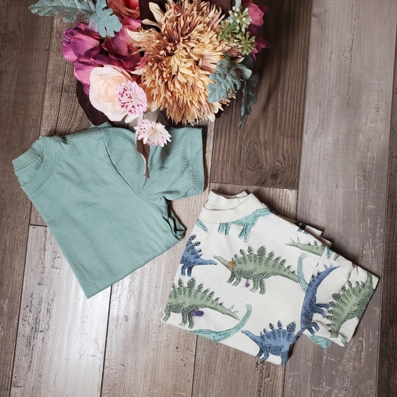 Boys Casual T-Shirt Bundle | Wonder Nation & Carter's | Size XS 4-5 and 5T | EUC - Picture 2 of 13